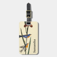 Audubon: Trällerer