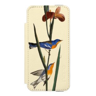 Audubon: Trällerer Incipio Watson™ iPhone 5 Geldbörsen Hülle