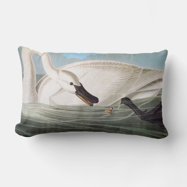 Audubon: Trompeters-Schwan Lendenkissen (Vorderseite)