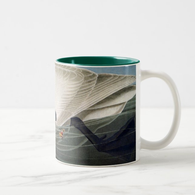 Audubon Trumpeter-Schwan-Kaffee-Tasse Zweifarbige Tasse (Rechts)