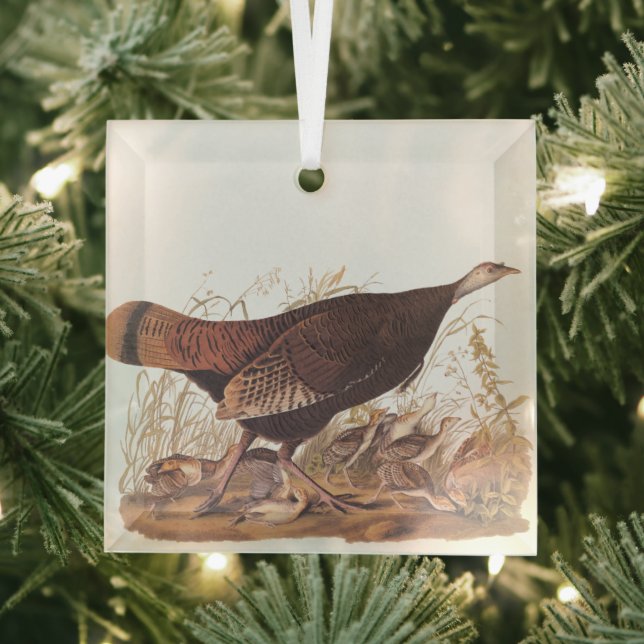 Audubon Turkey Hen und Chicks im Herbst Ornament Aus Glas (Insitu)