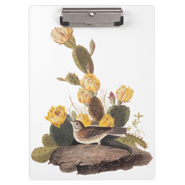 Audubon Vesper Sparrow und Prickly Pear Cactus Klemmbrett (Vorderseite)