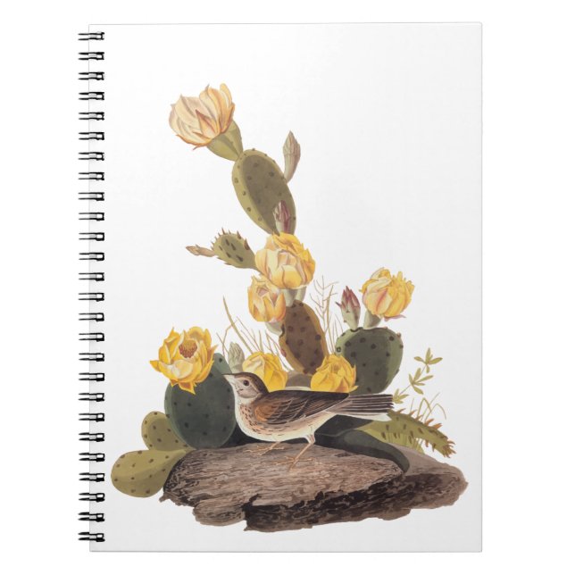 Audubon Vesper Sparrow und Prickly Pear Cactus Notizblock (Vorderseite)