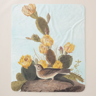 Audubon Vesper Sparrow und Prickly Pear Cactus Sherpadecke