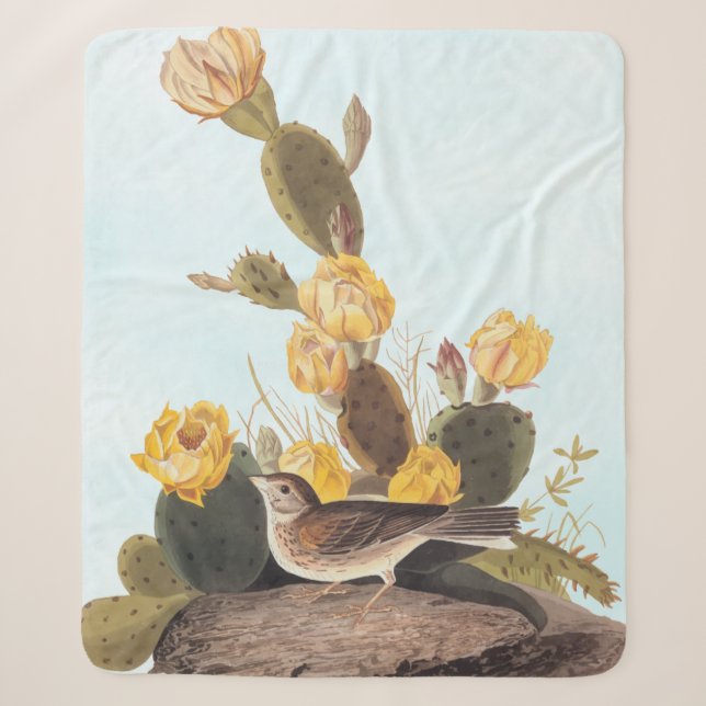 Audubon Vesper Sparrow und Prickly Pear Cactus Sherpadecke (Vorderseite)