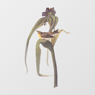 Audubon Vigor's Vireo Songbird Fensteraufkleber