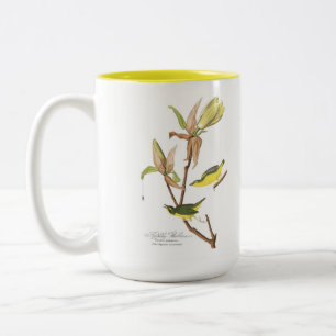 Audubon Vogel-Tasse, Kentucky-Trällerer, 15 Unze Zweifarbige Tasse