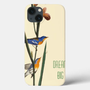Audubon: Warbler title_seo2
