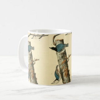 Audubon White-Brust Nuthatch-Vogelmalerei Kaffeetasse