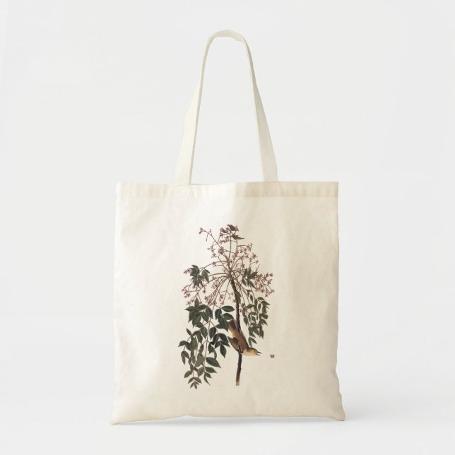 Audubon White Mit Augen Vireo Song Bird Kunst Tragetasche (Vorne)
