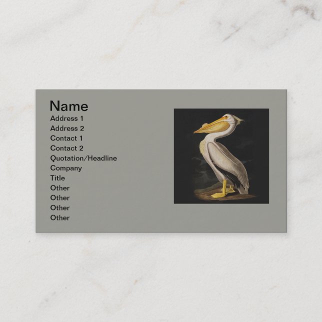 Audubon White Pelican Bird America Visitenkarte (Vorderseite)