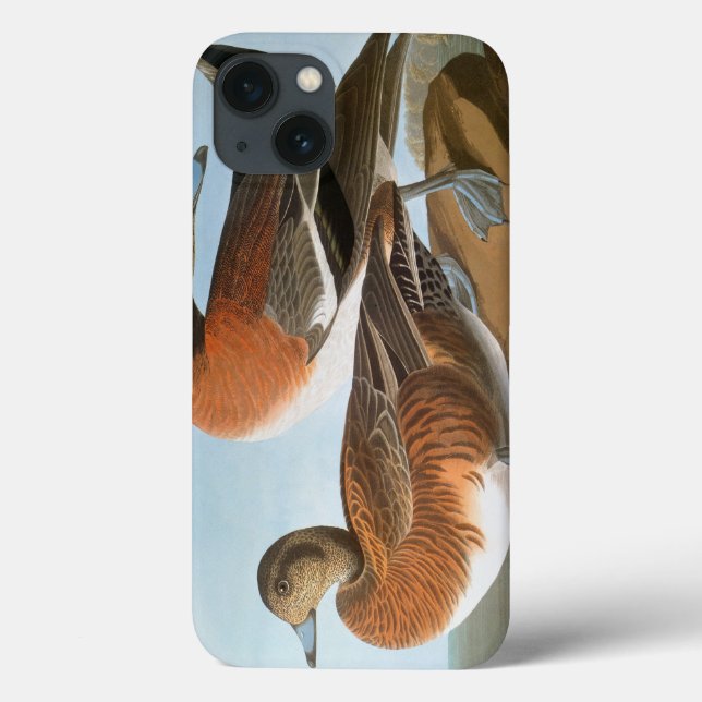 Audubon: Wigeon Case-Mate iPhone Hülle (Rückseite)