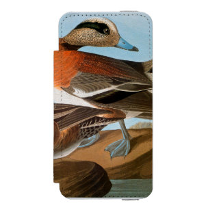 Audubon: Wigeon Incipio Watson™ iPhone 5 Geldbörsen Hülle
