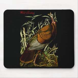 Audubon Wild Truth Nordamerikanische Vögel Bildung Mousepad
