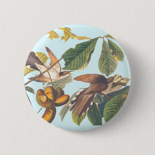 Audubon Yellow Billed Cuckoo Button