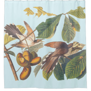 Audubon Yellow Billed Cuckoo Duschvorhang