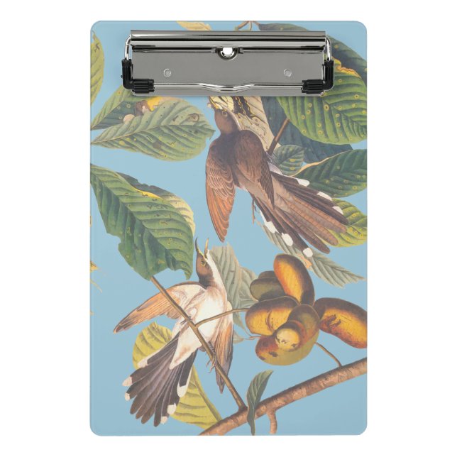 Audubon Yellow Billed Cuckoo Mini Klemmbrett (Vorderseite)