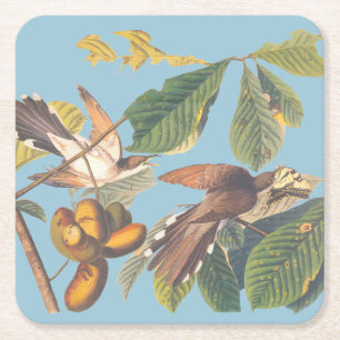 Audubon Yellow Billed Cuckoo Rechteckiger Pappuntersetzer