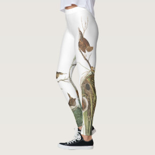 Audubon Zaunkönig-Vögel nistet alle über Leggings