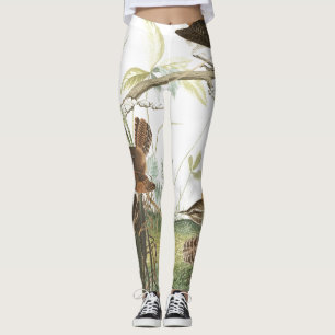 Audubon Zaunkönig-Vögel nistet alle über Leggings