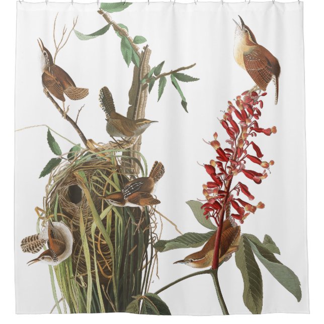 Audubon Zaunkönig-Vogel-Tier-Blumen-Duschvorhang Duschvorhang (Vorderseite)