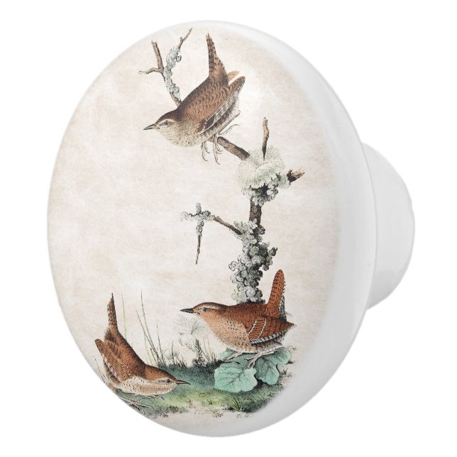 Audubon Zaunkönig-Vogel-Tier-Tier-Griff Keramikknauf (Rechts)