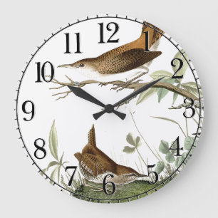 Audubon-Zaunkönig-Vögel-Tiere-Wildlife-Wanduhr Große Wanduhr