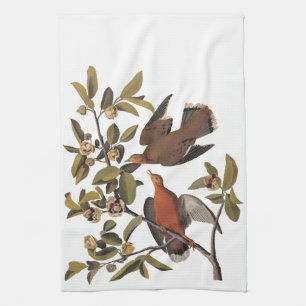 Audubon Zenaida Dove mit Blume Geschirrtuch