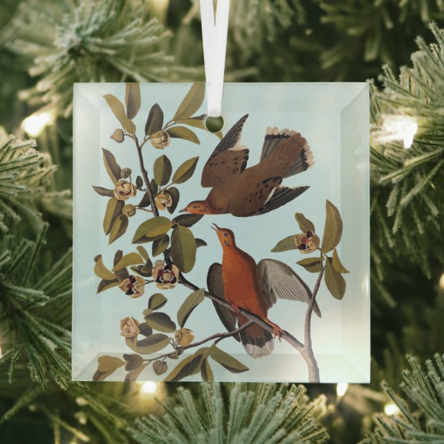 Audubon Zenaida Dove mit Blume Ornament Aus Glas (Insitu)
