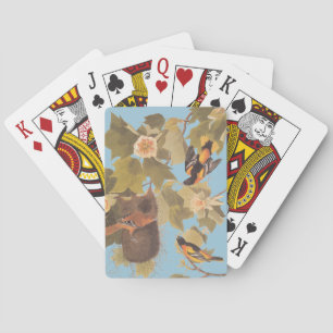 Audubons Baltimore Oriole Trio Spielkarten