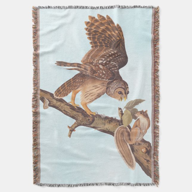 Audubon's Barred Owl and Eichhörnchen Odd Friends Decke (Vorderseite Vertikal)