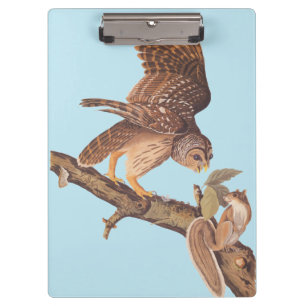 Audubon's Barred Owl and Eichhörnchen Odd Friends Klemmbrett