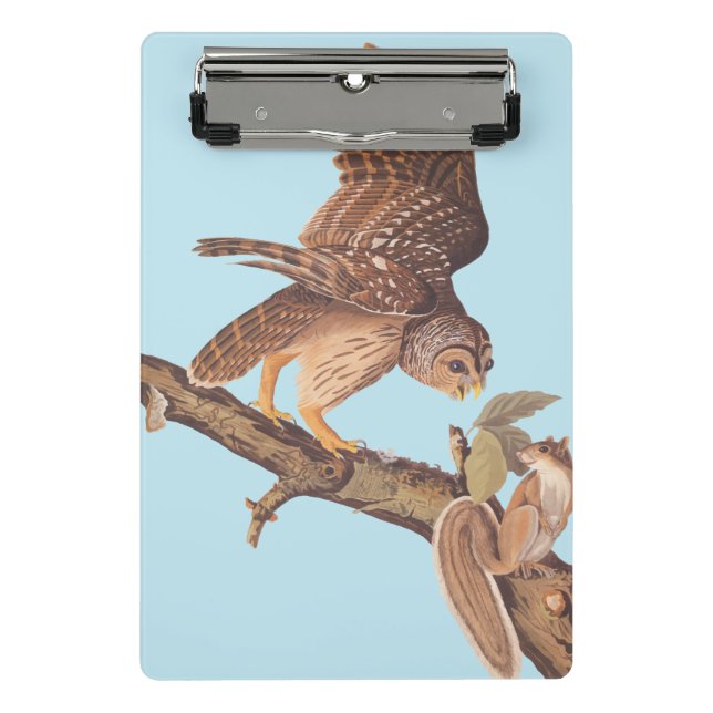 Audubon's Barred Owl and Eichhörnchen Odd Friends Mini Klemmbrett (Vorderseite)
