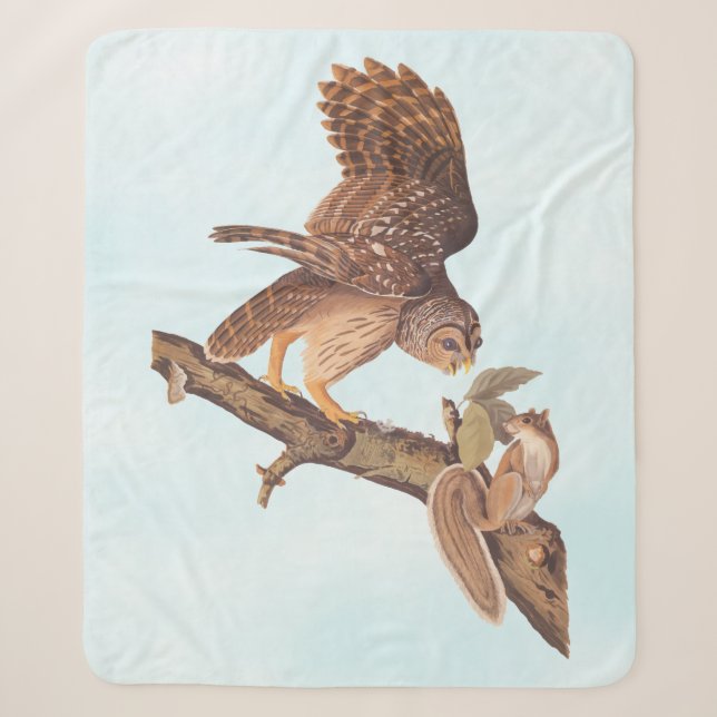 Audubon's Barred Owl and Eichhörnchen Odd Friends Sherpadecke (Vorderseite)