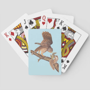 Audubon's Barred Owl and Eichhörnchen Odd Friends Spielkarten