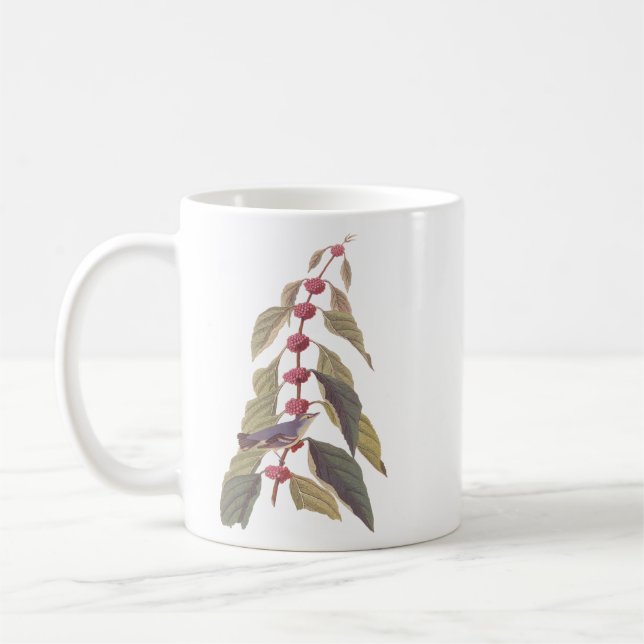 Audubons blaugrüner Warbler mit Pink Mulberry Kaffeetasse (Links)
