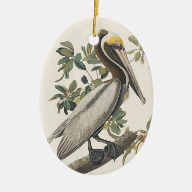 Audubons Brown-Pelikan Keramikornament (Vorne)