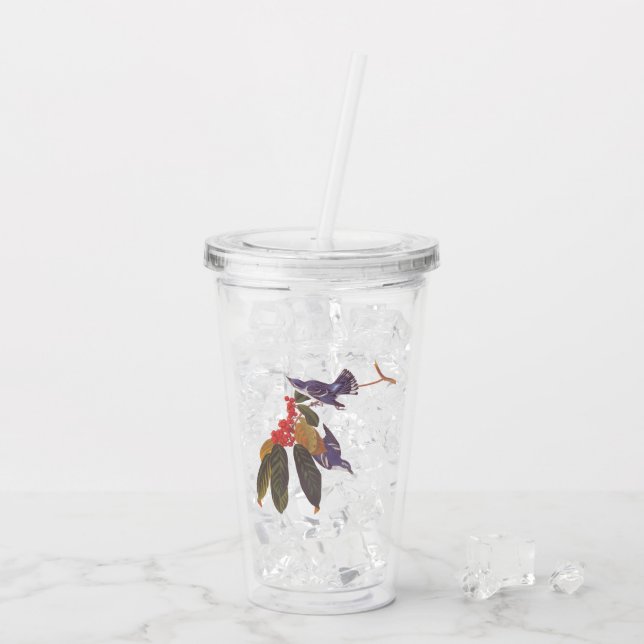 Audubons Cerulean Warbler Birds mit Bärenbeeren Acryltrinkbecher (Rückseite Ice)
