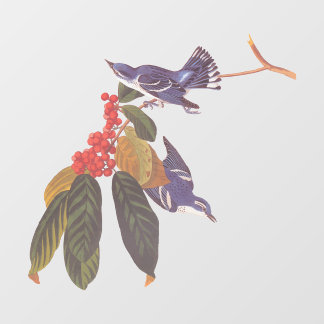 Audubons Cerulean Warbler Birds mit Bärenbeeren Fensteraufkleber