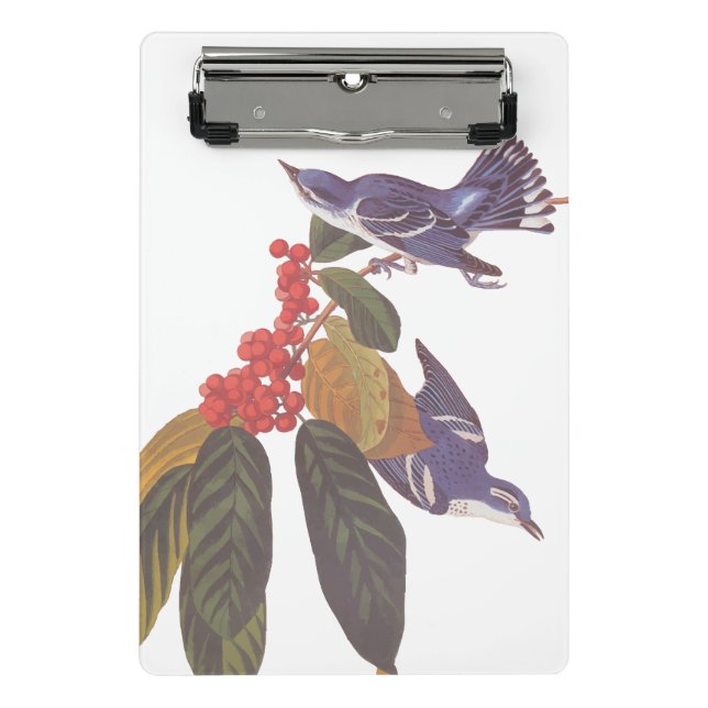 Audubons Cerulean Warbler Birds mit Bärenbeeren Mini Klemmbrett (Vorderseite)