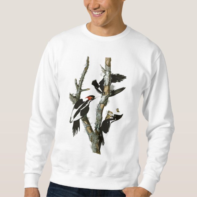 Audubons Elfenbein-berechneter Specht Sweatshirt (Vorderseite)