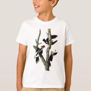 Audubons Elfenbein-berechneter Specht T-Shirt