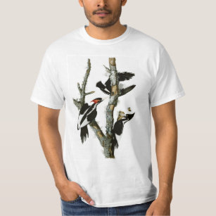 Audubons Elfenbein-berechneter Specht T-Shirt