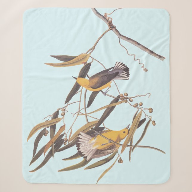 Audubons Gelber Prothonotar Warbler Bird Sherpadecke (Vorderseite)