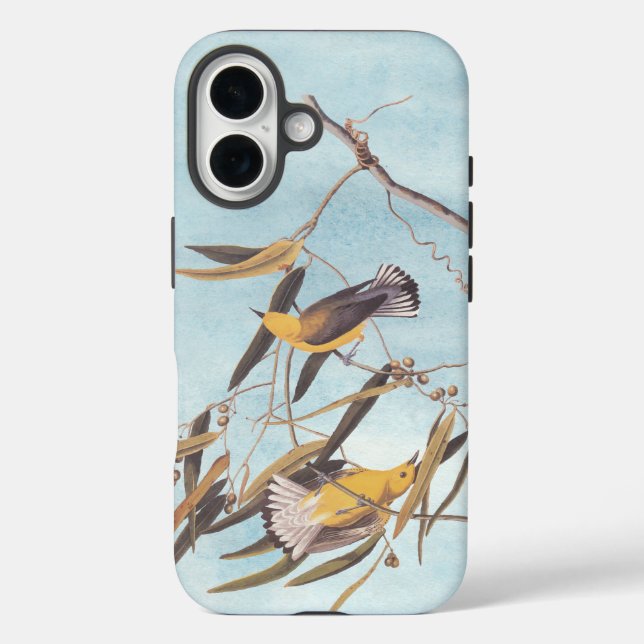 Audubons gelbes Prothonotar-Warbler-Vogelparadies iPhone 16 Hülle (Rückseite)