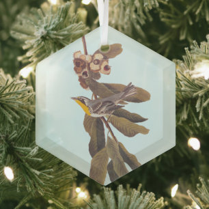 Audubons Gelbwurzelkraut auf Kastanien Ornament Aus Glas
