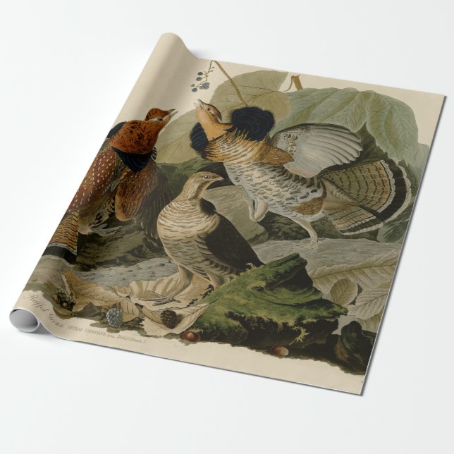 Audubons Gemälde eines Trios aus Ruffed Grouse Geschenkpapier (Ungerollt)