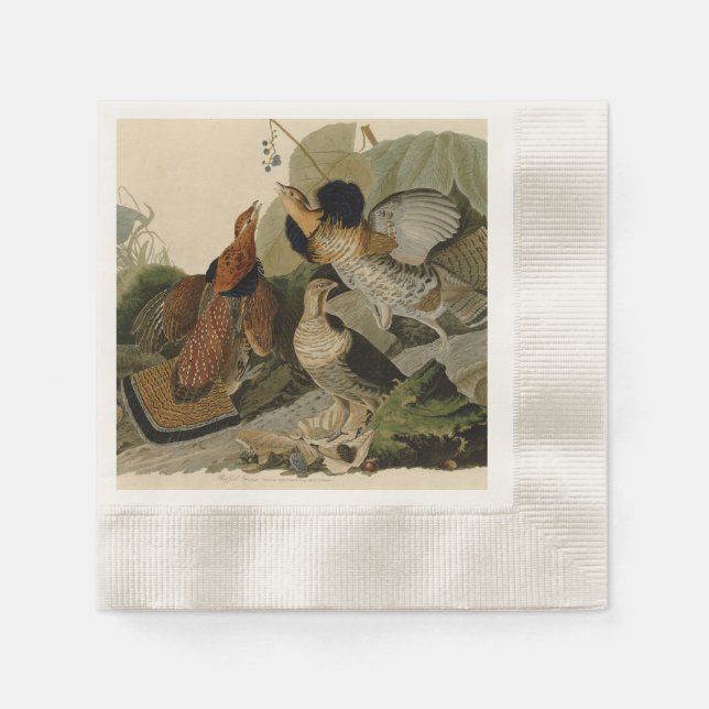 Audubons Gemälde eines Trios aus Ruffed Grouse Serviette (Vorderseite)