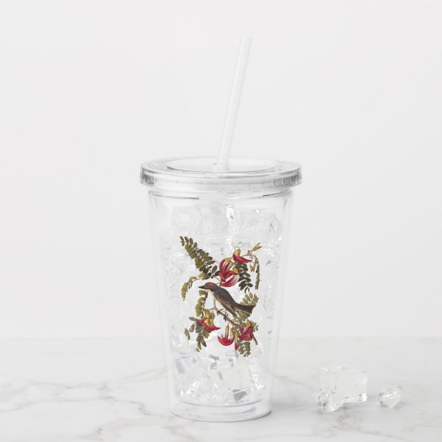 Audubons grauer Tyrann-Vogel mit rosa Blume Acryltrinkbecher (Rückseite Ice)
