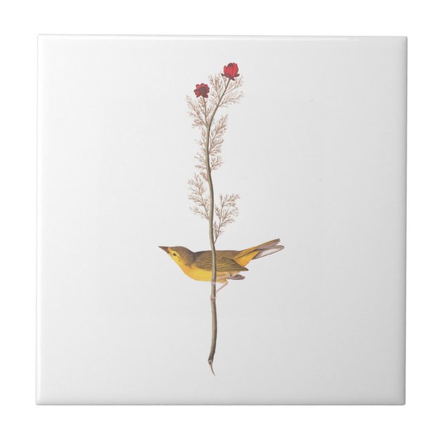 Audubons Hooded Warbler Bird auf der Roten Blume Fliese (Vorderseite)
